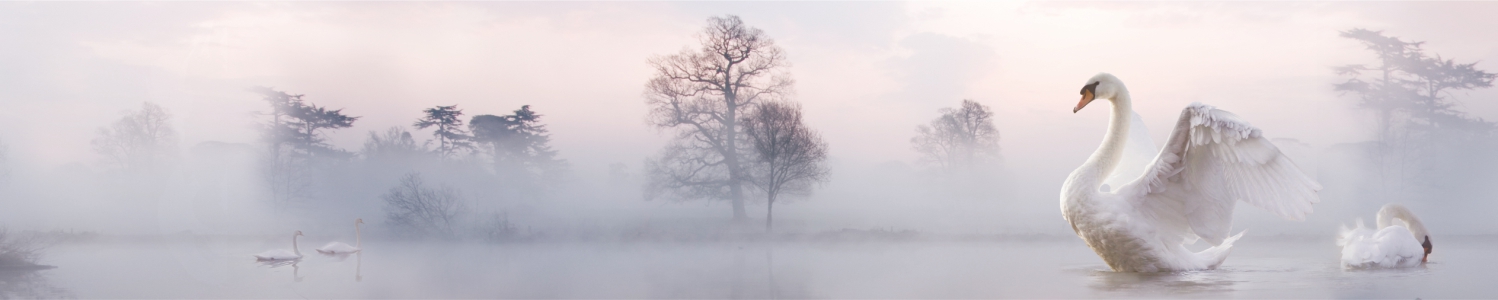 Фартук Листовая панель ПВХ Лебедь 3,0м Ур.