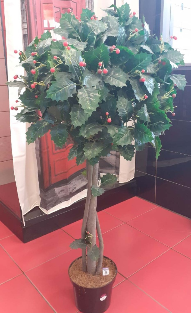 Калина Вайла 