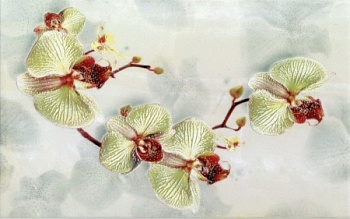 Плитка 250*400 Киров Алькора 2 оливковый 345222 декор