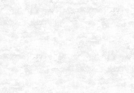 Обои 1,06*10м Виктория Стенова 989391 (Россия)