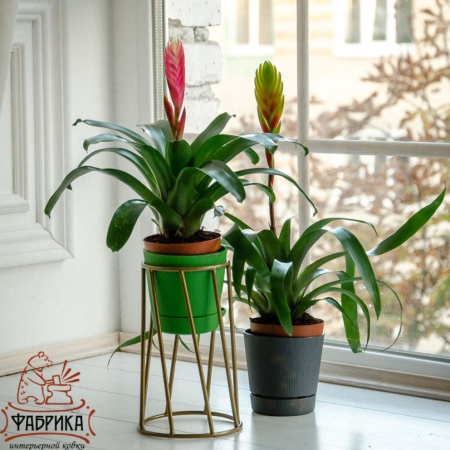 Подставка на подоконник 66-604-G