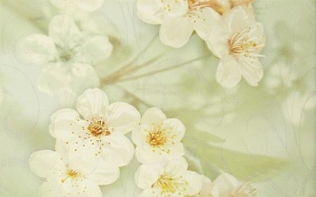 Плитка 250*400 Шахтинская Сакура зел. 01 декор