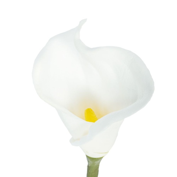 Калла искусств. H66 см, белая, 7141/0443-6/23Р