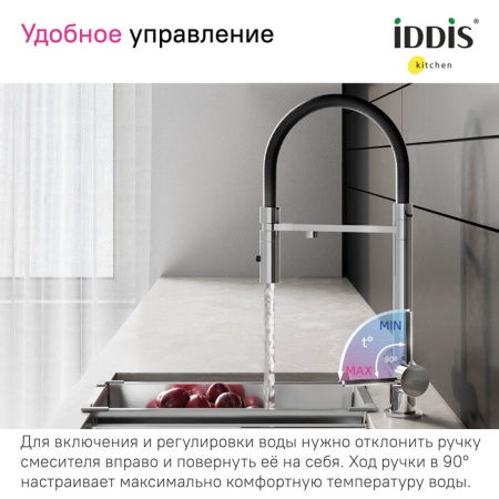 Смеситель кухня IDDIS Ace с фильтром и гибким изливом, хром, ACESBFFi05