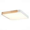 Светильник потолочный Evoluce SLE201252-01 дерево/белый LED, 45W