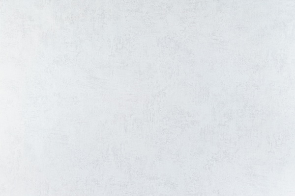 Обои 1,06*10м Артекс 10597-01 (Россия) 6