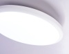 Светильник потолочный FZ1230 WH белый 22W 6400K 260*55  (БЕЗ ПДУ)